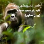 دانلود آهنگ جدید کاوه ژاو رقص پایین شهری ها