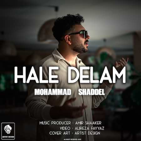 آهنگ محمد شاددل حال دلم