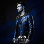 دانلود آهنگ جدید آوین برگرد
