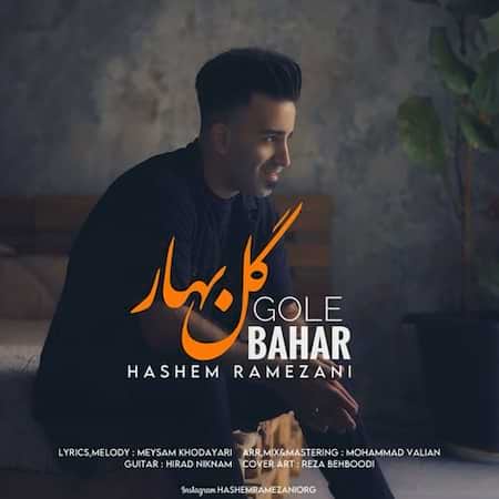 آهنگ هاشم رمضانی گل بهار