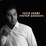 دانلود آهنگ جدید سعید شمس دوستم نداشتی