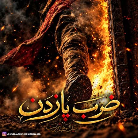 آهنگ سید محسن هاشمی نسب ضرب پا زدن